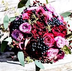 Rosa dai Ciöf, Pederoa orari di apertura