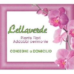 Lella Verde Fiori e Piante, Sant'Agata li Battiati orari di apertura