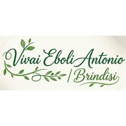 Vivai Eboli Antonio, Brindisi orari di apertura