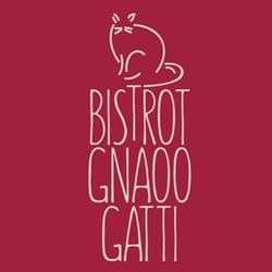 Gnaoo Gatti Bistrot, Ancona orari di apertura