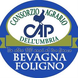 Consorzio Agrario di Foligno Bevagna, orari di apertura