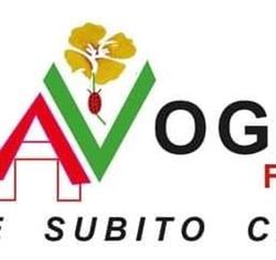 ERBAVOGLIO FIORISTA, Casciana Terme Lari orari di apertura