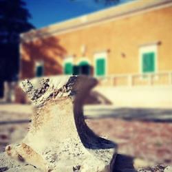 L'EDIL CICCONE SRL, Locorotondo orari di apertura