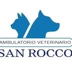 Ambulatorio Veterinario San Rocco, Montesilvano orari di apertura