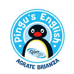 Pingu's English Agrate Brianza, orari di apertura