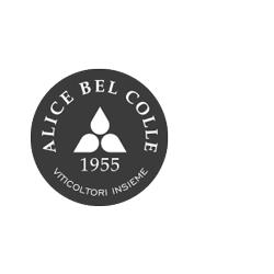 Cantina Alice Bel Colle soc.coop.R.L. Agricola, orari di apertura