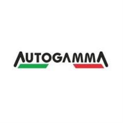 Autogamma, Empoli orari di apertura