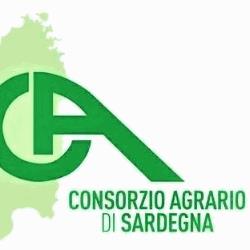 Siliqua Consorzio Agrario di Sardegna, orari di apertura
