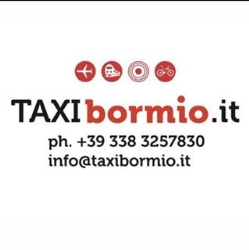 Taxi Bormio - Taxi & Transfer Service, orari di apertura