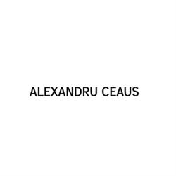 Alexandru Ceaus, Torino orari di apertura