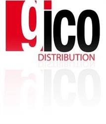 Gico Distribution S. Maria, Catanzaro orari di apertura