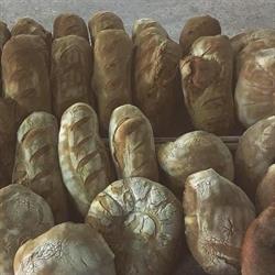 Panetteria del Volturno, Castel Volturno orari di apertura