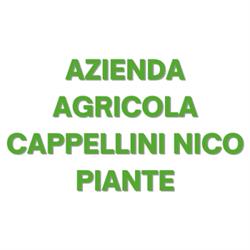 Azienda Agricola Cappellini Nico Piante, Pistoia orari di apertura