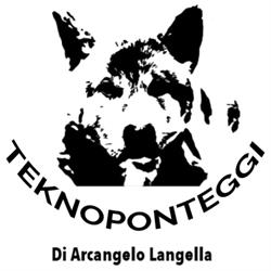 Teknoponteggi - Ponteggi Navali e Civili, Viareggio orari di apertura