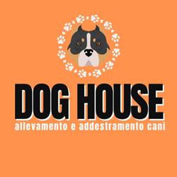 Dog House, Colonnella orari di apertura
