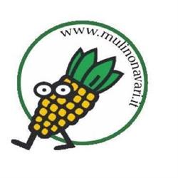 Azienda Agricola/ Mulino Navari, Viareggio orari di apertura