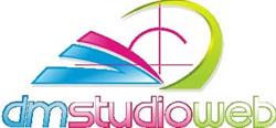Realizzazione Siti Web Verona e Posizionamento Siti Internet - dmstudioweb, Bussolengo orari di apertura
