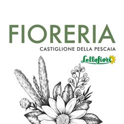 Fioreria Castiglione della Pescaia, orari di apertura