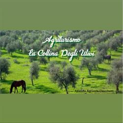 Agriturismo La Collina Degli Ulivi, Ferentino orari di apertura