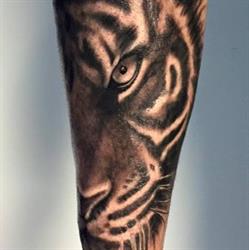 TOP Tattoo INK, Carugo orari di apertura