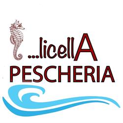 Pescheria Licella, Salerno orari di apertura