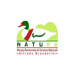 Museo Natura, Ravenna orari di apertura
