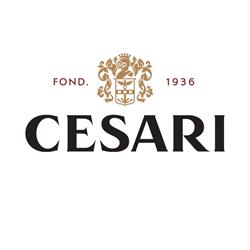 Gerardo Cesari - Cantina di Fumane, orari di apertura
