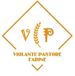 Violante Pastore S.r.l, San Cipriano Picentino orari di apertura