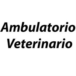 Ambulatorio Veterinario dott Elena Fornasarig, Pavia di Udine orari di apertura