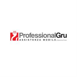 Professional Gru - Concessionario Hiab, Luzzi orari di apertura