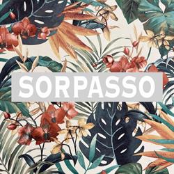 Sorpasso sas di Natale Michele Giovanni, Ivrea orari di apertura