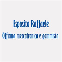 Officina meccatronica e gommista Esposito Raffaele, Caserta orari di apertura