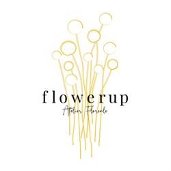 Flower up Atelier Floreale, Francavilla al Mare orari di apertura