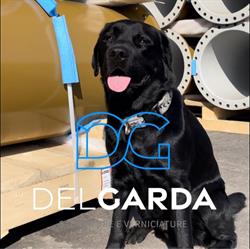 DEL GARDA SABBIATURE SRL, Sant'Ambrogio di Valpolicella orari di apertura