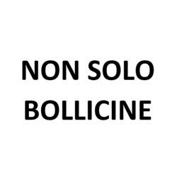 Non Solo Bollicine, Castel di Lama orari di apertura