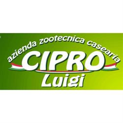 Luigi Cipro Azienda Zootecnica Casearia, Trinitapoli orari di apertura