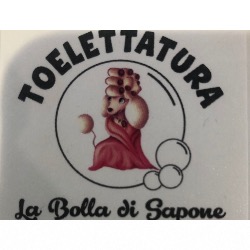 La Bolla di Sapone. Ravenna, San Rocco - Orari di apertura