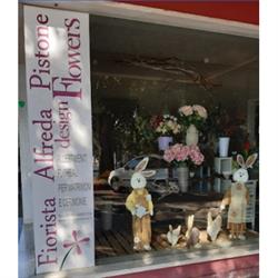 Fiorista Alfreda Pistone Design Flowers, Massa orari di apertura