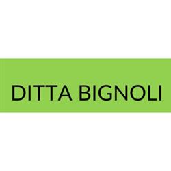 Ditta Bignoli, Galliate orari di apertura