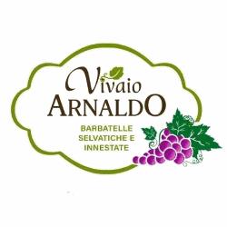 Vivai Arnaldo, Giurdignano orari di apertura