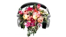 SISIMUSICA DJ Per Matrimonio, Milano orari di apertura