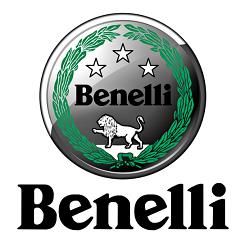 Ruote a Raggi - Benelli Pavia di Frosini Roberto, orari di apertura
