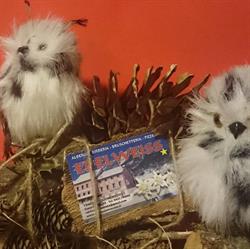 Albergo Ristorante Pizzeria Edelweiss Tonezza, Tonezza del Cimone orari di apertura