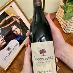 Cantina Scuropasso, Pietra de' Giorgi orari di apertura