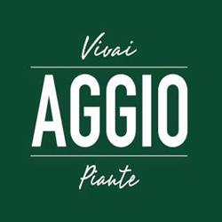 Aggio Vivai e Piante, Santa Cristina orari di apertura