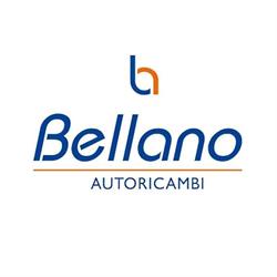 Bellano Autoricambi Vasto, orari di apertura