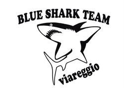 Blue Shark Di Ravenni Riccardo, Viareggio orari di apertura