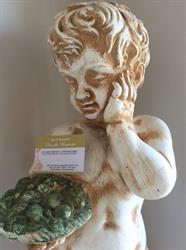 B&B Bruxelles Margherita, Genova orari di apertura
