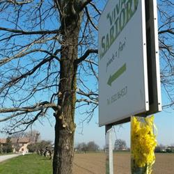 Sartori piante e fiori, Montecchio Emilia orari di apertura