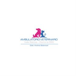 Ambulatorio Veterinario Valle Sabbia, Vestone orari di apertura